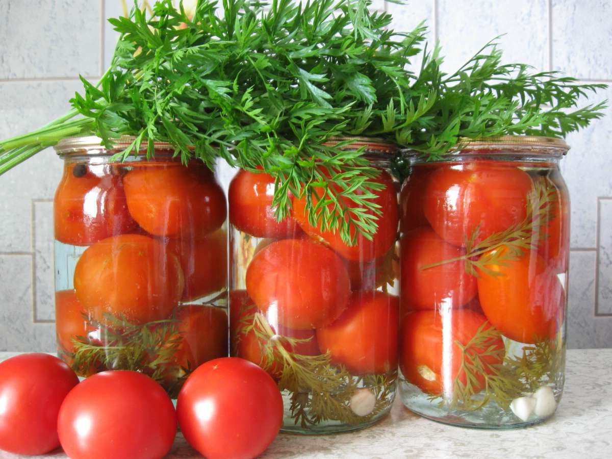 Польза и вред помидоров для здоровья