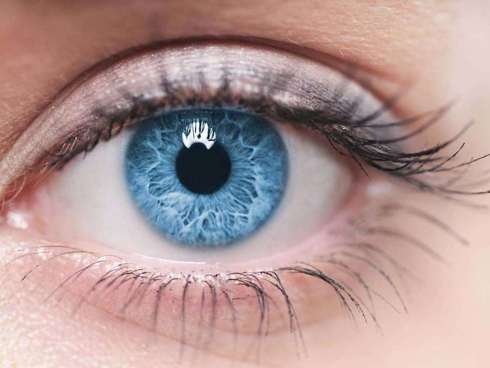 Цвет глаз голубой