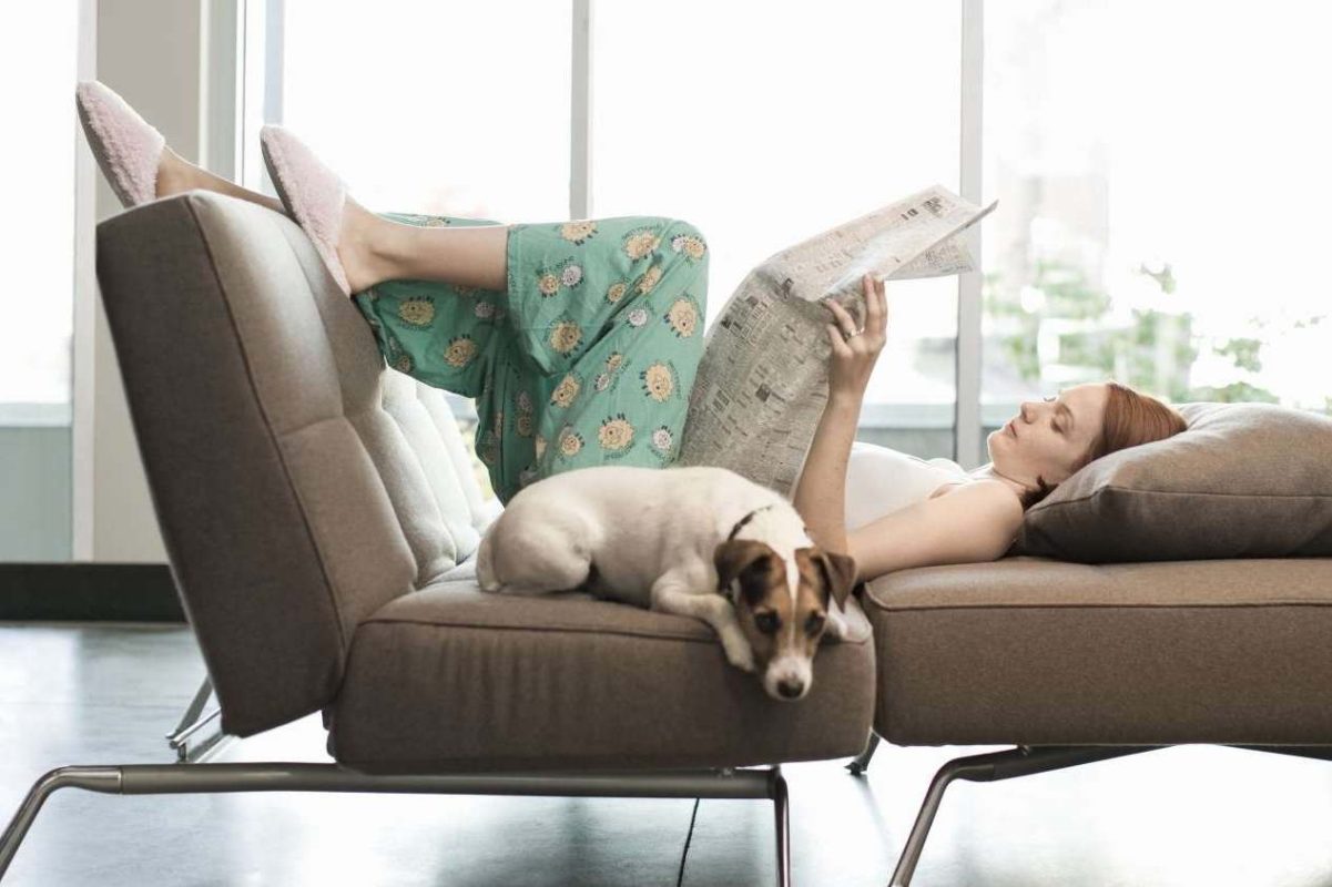 Девушка валяется на диване с собакой и читает газету