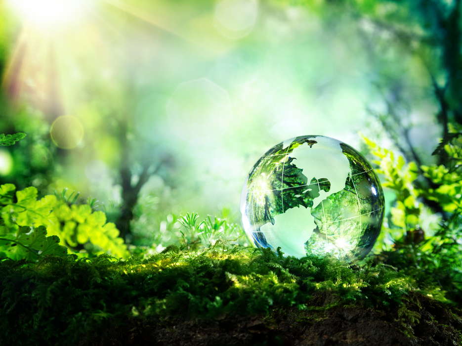 Экология Зеленая планета