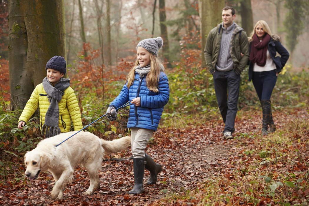 Семья на прогулке с собакой в лесу