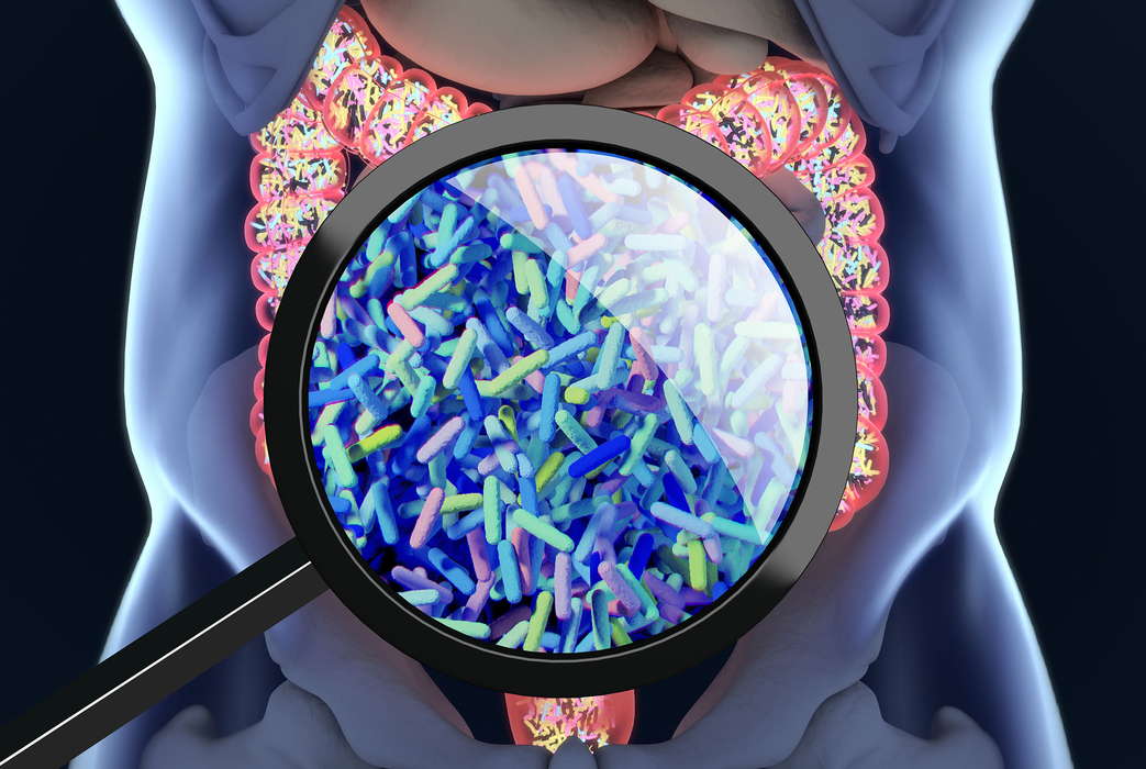 Микробиом кишечника человека картинка