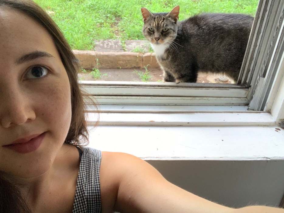 Девушка и кошка за окном