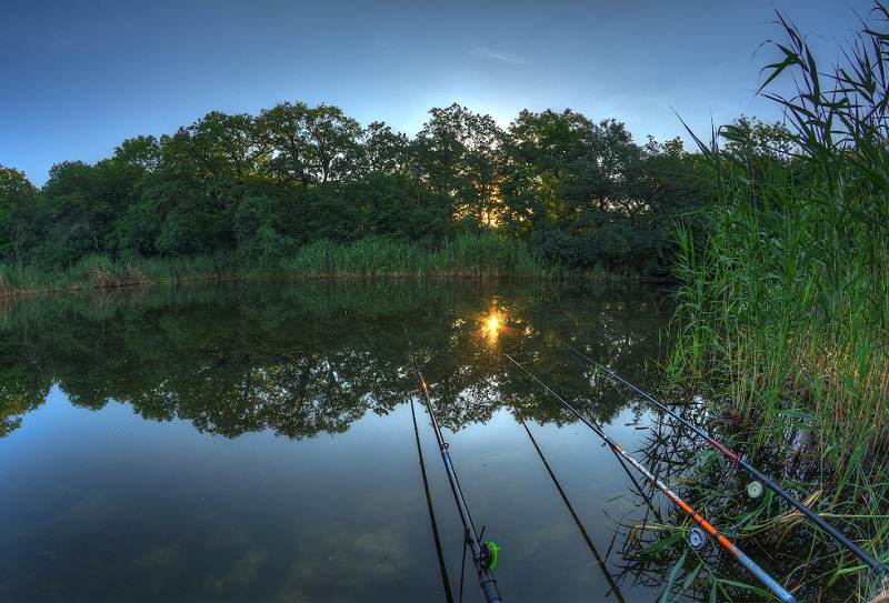 Летняя рыбалка удочки рассвет