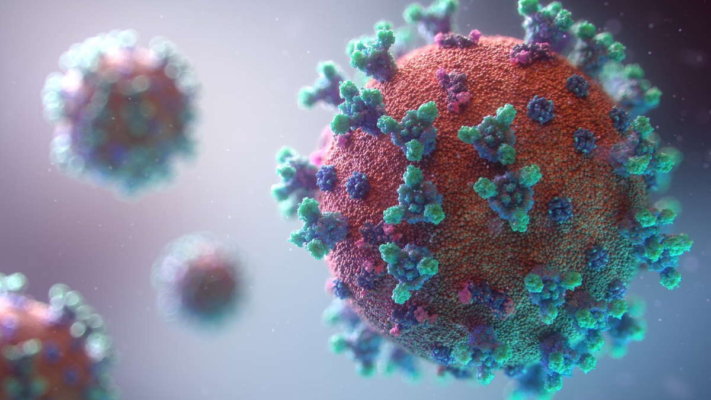 15 мифов о новом «уханьском» коронавирусе
