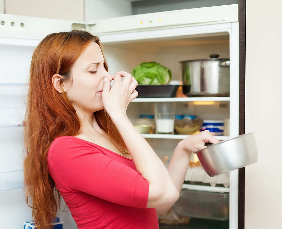 Как быстро и эффективно удалить запах тухлого мяса в холодильнике