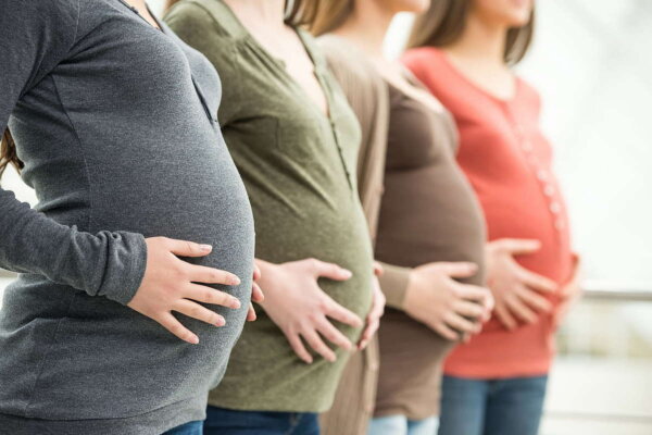 Откуда и как растёт живот во время беременности